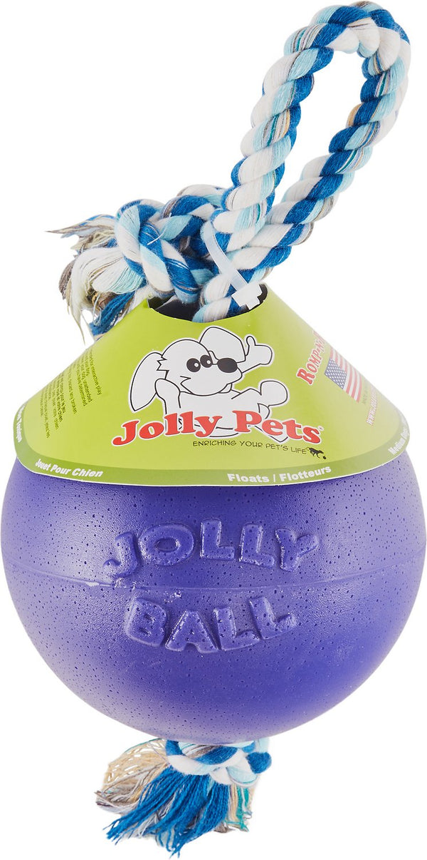 Jolly Pets Romp-n-Roll Dog Toy, Purple