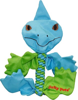 Jolly Pets Flathead Iguana Dog Toy