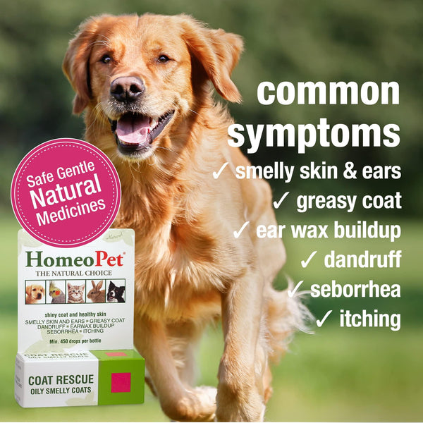 HomeoPet Piqûres d'insectes Complément pour chien, chat, oiseau et petit animal, 450 gouttes