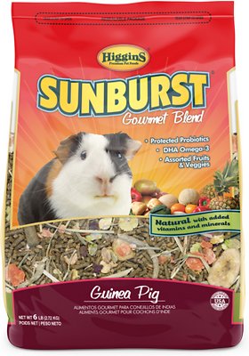 Higgins Sunburst Mélange Gourmet Aliment pour cochons d'Inde