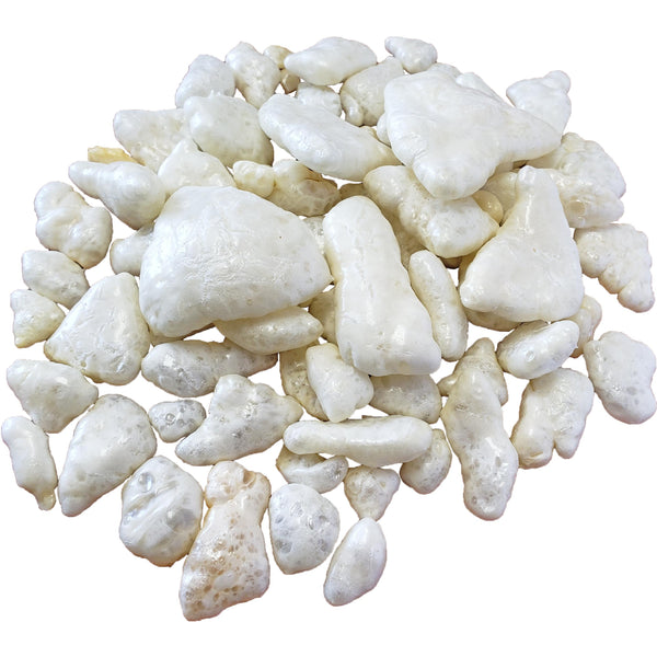 Himalayan Pet Supply yakyCHARMS Friandises pour chiens, 1 unité