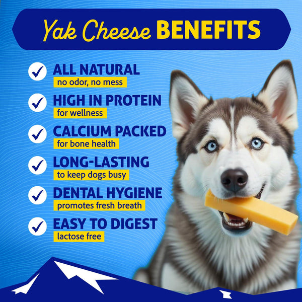 Himalayan Pet Supply The Original Himalayan Dog Chew Yak Cheese Dog Treats, Mixed, 3-pk