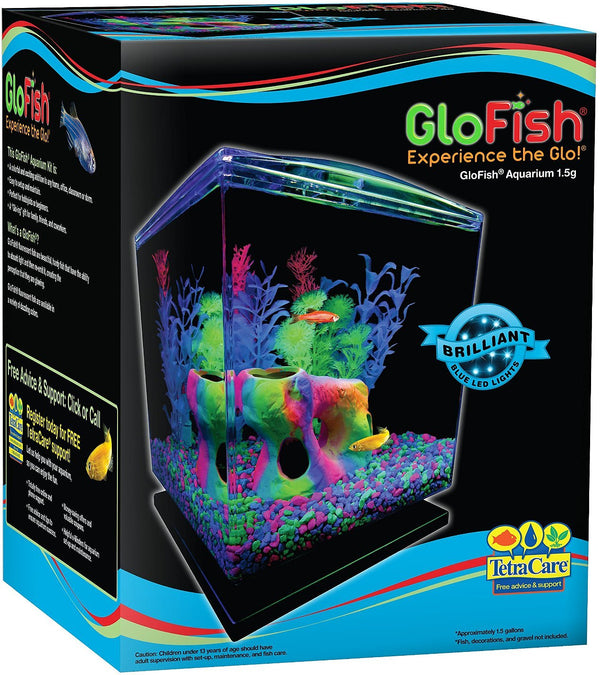 GloFish Aquarium Starter Kit