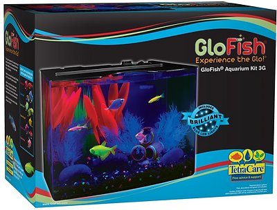 GloFish Aquarium Starter Kit