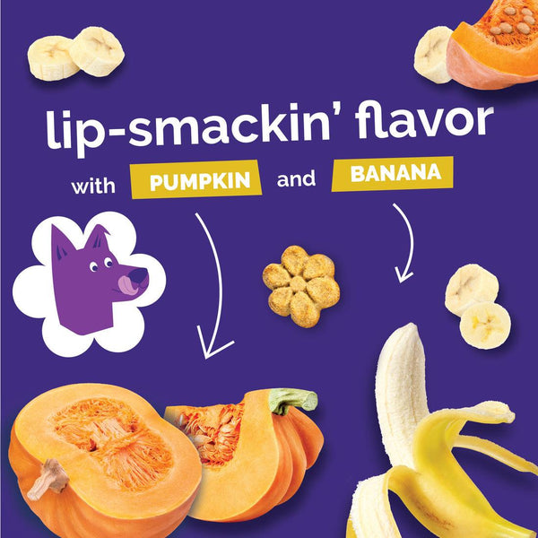 Fruitables Pumpkin & Banana Dog Treats, 7-oz