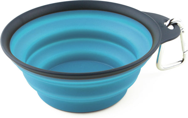 Dexas Collapsible Travel Cup with Carabiner, Gray/Blue