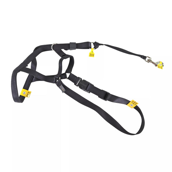 Coastal Walk 'n Train! Dog Head Halter, Black