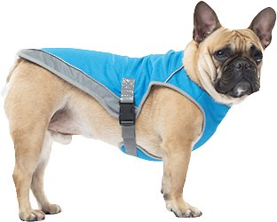 Canada Pooch Chill Seeker Dog Cooling Vest, Blue