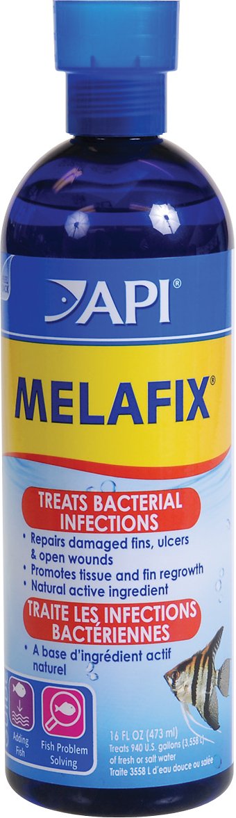API Melafix Freshwater Fish Infection Remedy