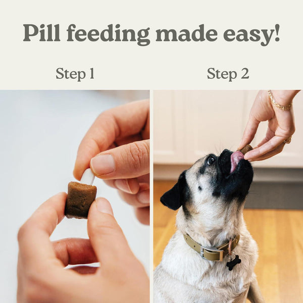 Presidio Pill Buddy Naturals Friandises pour chiens canard grillé pour pilules/capsules, 150 grammes