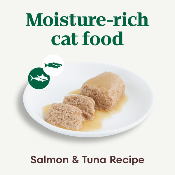 Nutro Perfect Portions Salmon & Tuna Pate Grain-Free Wet Cat Food Trays