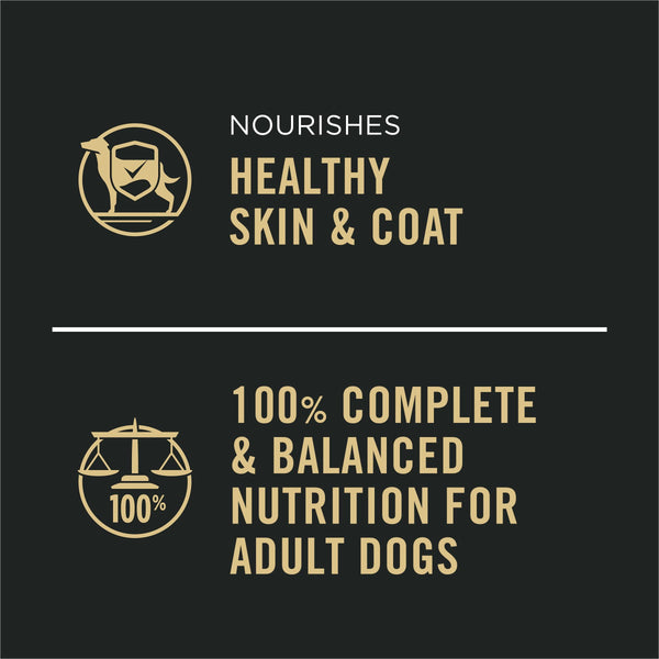 Purina Pro Plan Complete Essentials Chicken & Vegetables Entree Slices in Gravy Adult Wet Dog Food Can