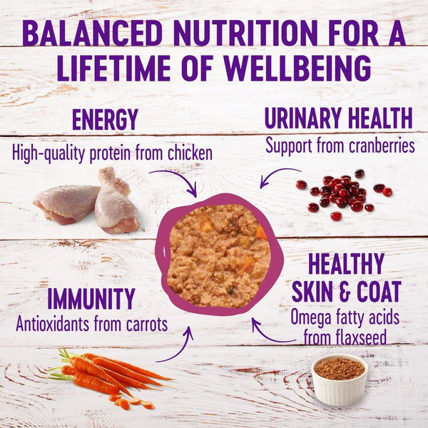 Wellness Complete Health Pâté Poulet et Homard Recette Nourriture humide pour chats en boîtes