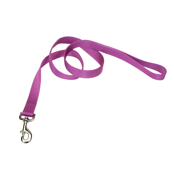 Coastal 1-in Training Dog Leash, Orchid, 6-ft