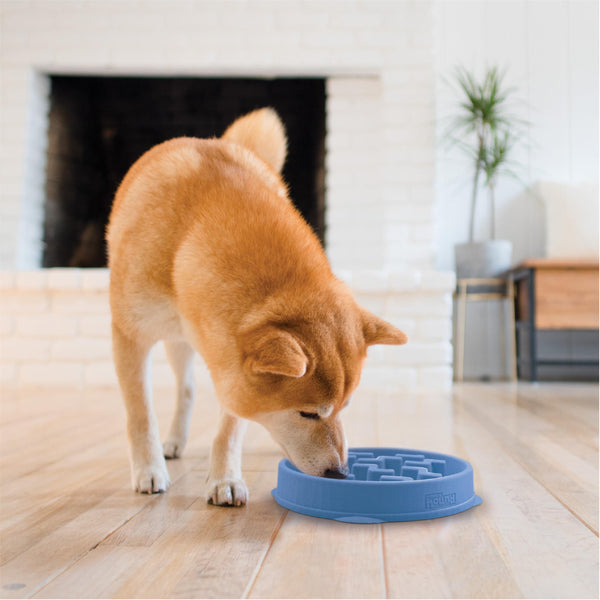 Outward Hound Fun Feeder Slo Bowl Dog Slow Feeder, Blue