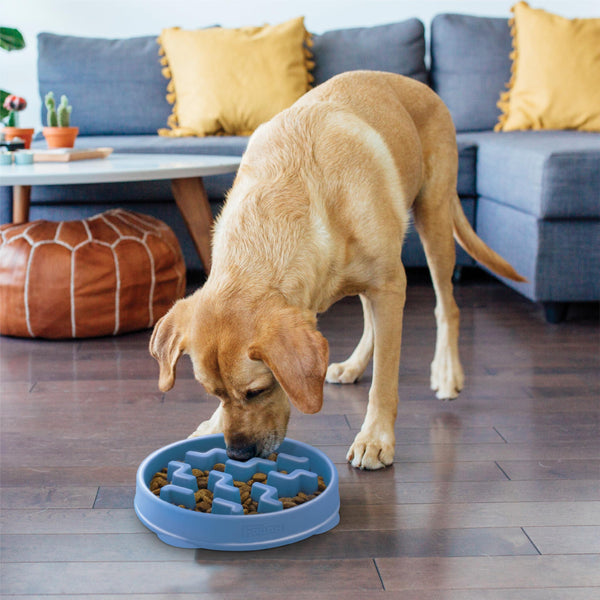 Outward Hound Fun Feeder Slo Bowl Dog Slow Feeder, Blue