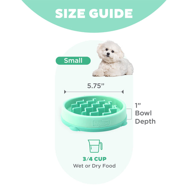 Outward Hound Fun Feeder Slo Bowl Dog Slow Feeder, Mint, Small/Tiny