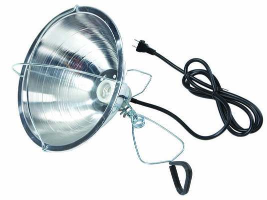 Miller Little Giant Brooder Reflector Lamp, 10.5-in
