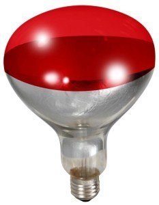 Heat Lamp Bulb for Brooder Reflector - Red 250w