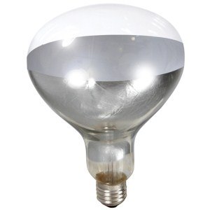 Heat Lamp Bulb for Brooder Reflector - Clear 250w