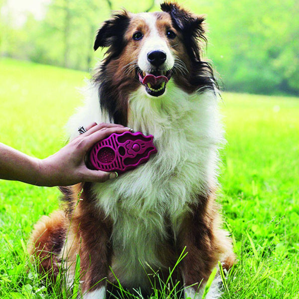 KONG ZoomGroom Dog Brush, Rasberry