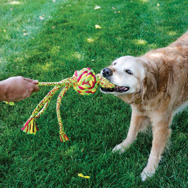 KONG Wubba Weaves with Rope Dog Toy, Color Varies