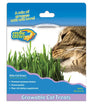 OurPets Herbe à chat Cosmic Kitty, 0,88 oz