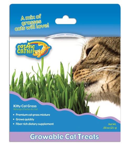 OurPets Cosmic Kitty Cat Grass, .88-oz