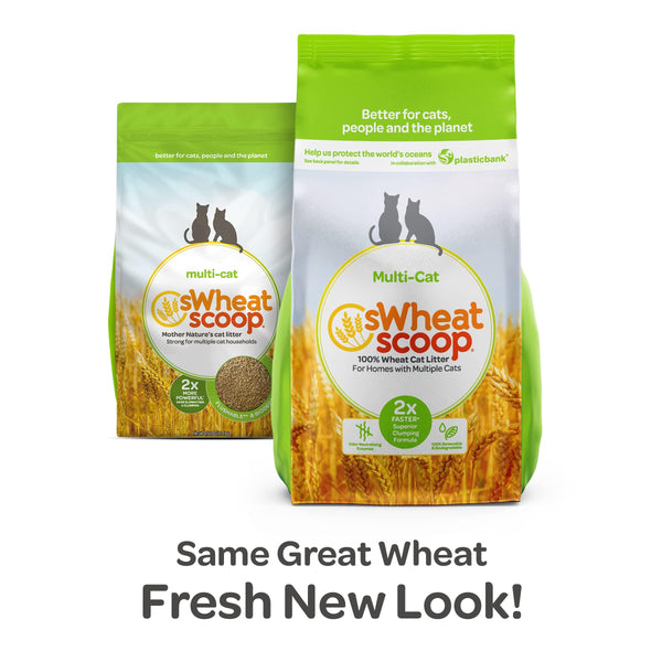sWheat Scoop Litière naturelle pour chat au blé multi-chats