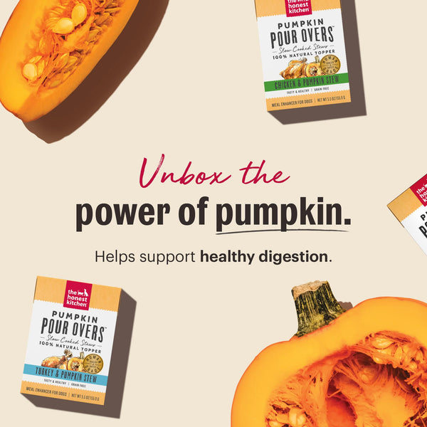 The Honest Kitchen Pumpkin Pour Overs Salmon & Pumpkin Stew Dog Food Topper