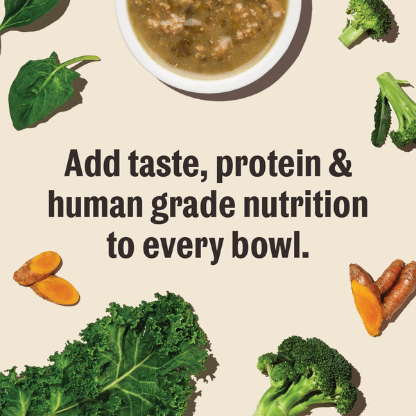 The Honest Kitchen Superfood Pour Overs Chicken Stew with Spinach Dog Food Topper