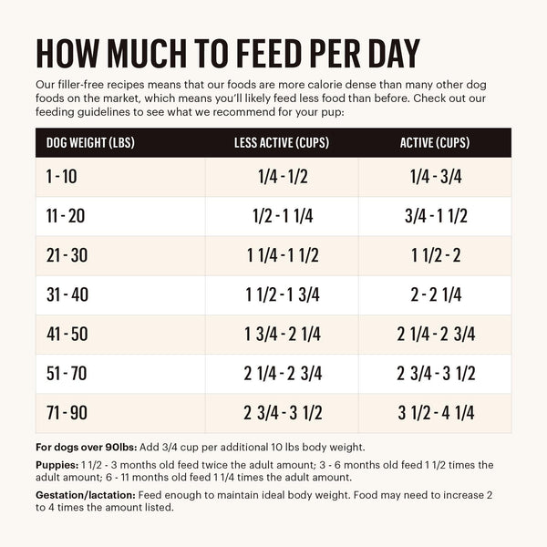 The Honest Kitchen Whole Food Clusters Beef Grain-Free Dry Dog Food