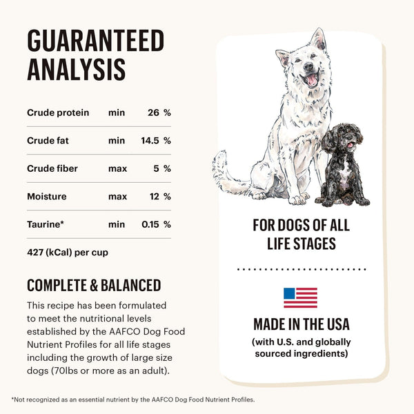 The Honest Kitchen Whole Food Clusters Beef Grain-Free Dry Dog Food