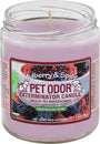 Pet Odor Exterminator Deodorizing Candle Jar, Mulberry & Spice, 13-oz