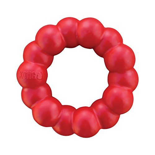 KONG Ring Dog Toy