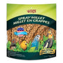 Millet en grappe Living World