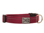 RC Pets Primary Clip Dog Collar, Burgundy