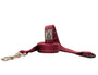 RC Pets Primary Dog Leash, Burgundy