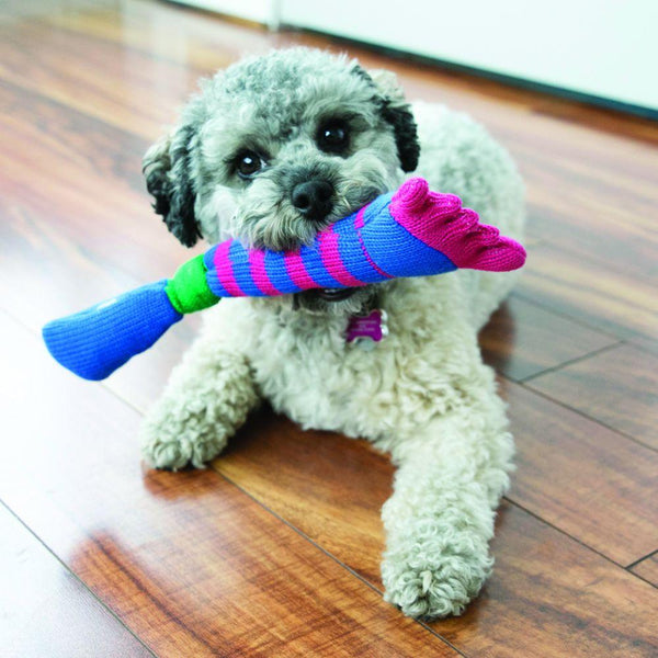KONG Soxx Bright Eyes Dog Toy