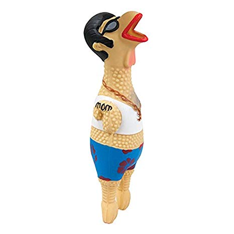 Charming Pet Squawkers Earl Dog Toy