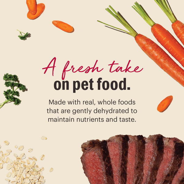 The Honest Kitchen Beef Whole Grain Dehydrated Dog Food