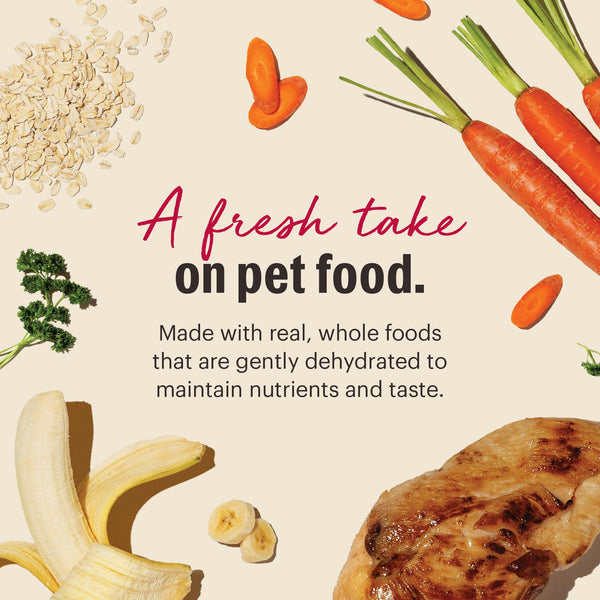 The Honest Kitchen Chicken Whole Grain Dehydrated Dog Food