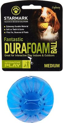 Starmark Fantastic DuraFoam Ball Dog Toy, Color Varies