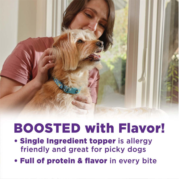 Wellness Bowl Boosters Bare Beef Grain-Free Freeze-Dried Dog Food Topper
