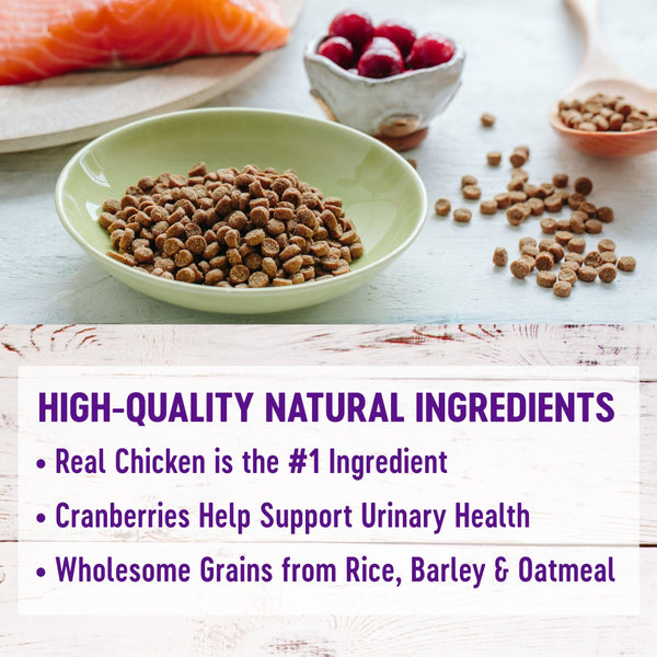 Wellness Complete Health Contrôle des Boules de Poils Croquettes Adultes Poulet & Riz
