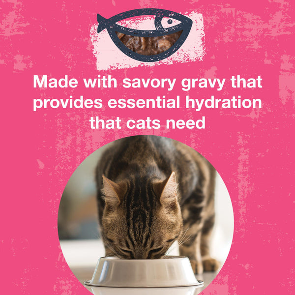KOHA Poke Bowl Tuna & Shrimp Entree in Gravy Wet Cat Food Pouch