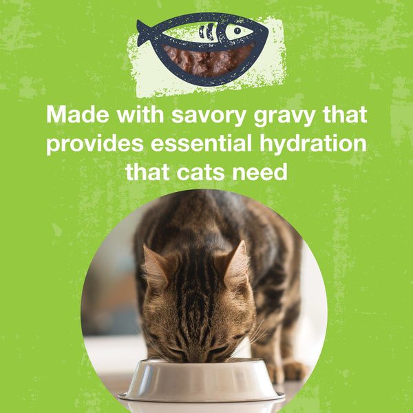 KOHA Poke Bowl Tuna & Duck Entree in Gravy Wet Cat Food Pouch