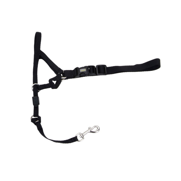 Coastal Walk 'n Train! Dog Head Halter