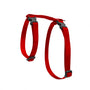 Lupine Pet Basic Solids H-Style Cat Harness