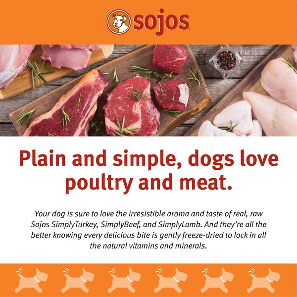 Sojos Simply Turkey Freeze-Dried Dog Treats, 4-oz